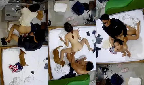 Em nữ sinh dẫn theo cả chó đi học nhóm bạn trong nhà nghỉ - viet69
